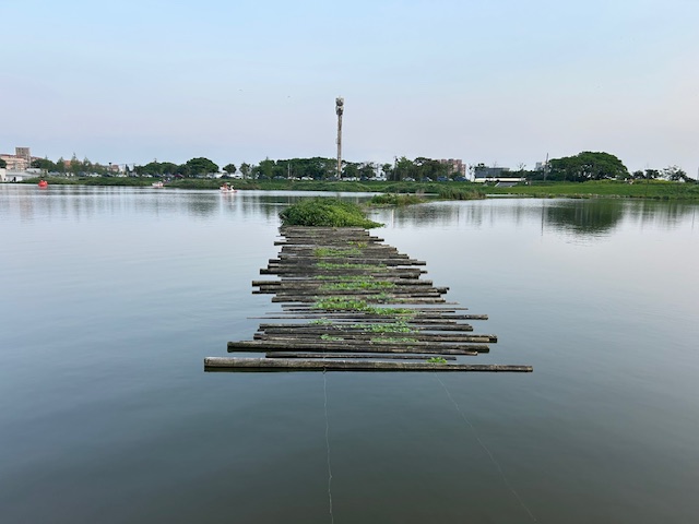 a0539 傍晚的華興池生態埤塘