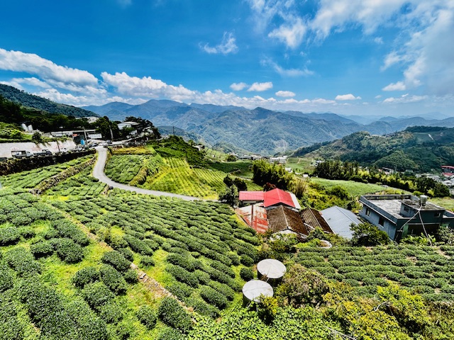 a1120 石桌的茶園．步道與午茶