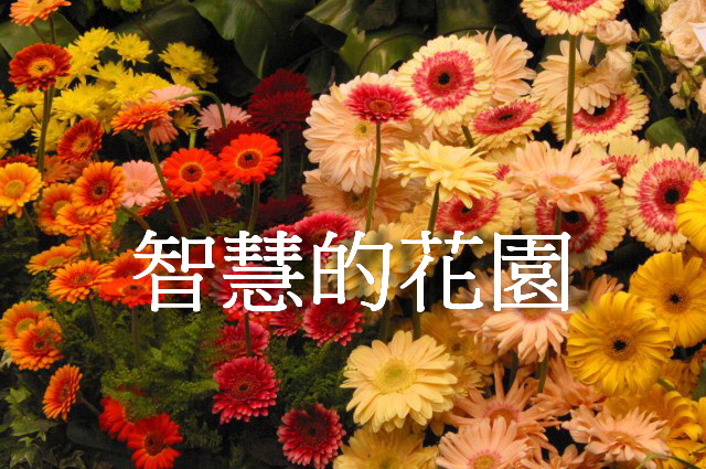 g0582 無光的蠟燭
