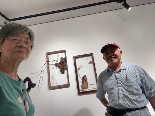 a0263 許馨文個展與新店九丁榕