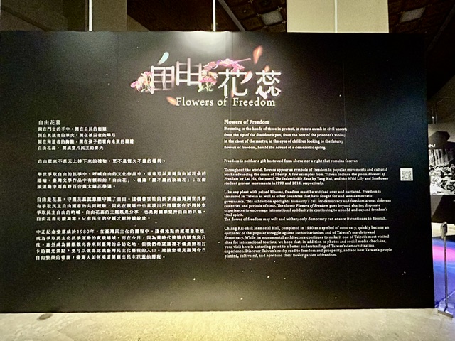a0162 對自由花蕊與野百合的聯想